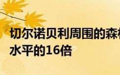 切尔诺贝利周围的森林大火将辐射推高至正常水平的16倍