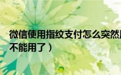 微信使用指纹支付怎么突然用不了（微信指纹支付怎么突然不能用了）