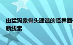 由猛犸象骨头建造的怪异圈子揭示了人类在冰河时代生存的新线索