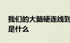 我们的大脑硬连线到忧虑 使自己冷静的方法是什么