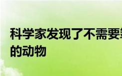 科学家发现了不需要氧气就能生存的史无前例的动物