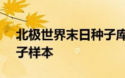 北极世界末日种子库仅藏匿了60000多份种子样本