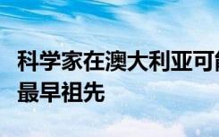 科学家在澳大利亚可能发现了许多现代动物的最早祖先