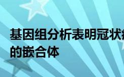 基因组分析表明冠状病毒可能是两种不同病毒的嵌合体