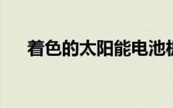 着色的太阳能电池板可以增加农场收入