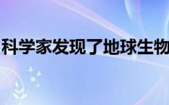 科学家发现了地球生物多样性热点背后的秘密