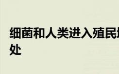 细菌和人类进入殖民地的方式有惊人的相似之处