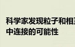 科学家发现粒子和相互作用都可以在一个框架中连接的可能性