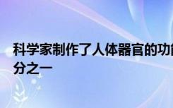 科学家制作了人体器官的功能复制品其大小几乎达到了百万分之一