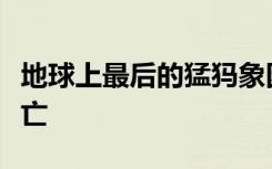 地球上最后的猛犸象因无法清除基因突变而死亡