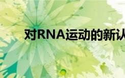 对RNA运动的新认识可用于治疗癌症