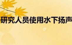 研究人员使用水下扬声器吸引鱼类并复兴死礁