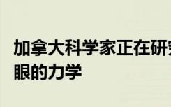 加拿大科学家正在研究一种新的方法来测量人眼的力学