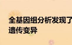 全基因组分析发现了29种与不良饮酒有关的遗传变异