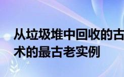 从垃圾堆中回收的古代鸟类雕像是东亚3D艺术的最古老实例