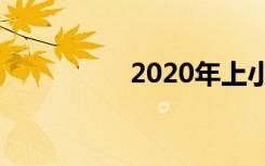 2020年上小学怎么报名