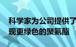 科学家为公司提供了一种新型化学物质 可实现更绿色的聚氨酯