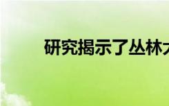 研究揭示了丛林大火的微气候影响