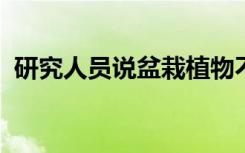 研究人员说盆栽植物不会改善室内空气质量