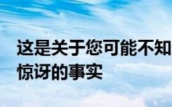 这是关于您可能不知道的人体骨骼的6个令人惊讶的事实