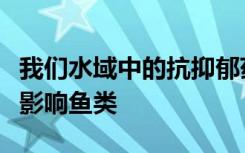 我们水域中的抗抑郁药确实正在以奇怪的方式影响鱼类