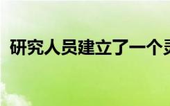 研究人员建立了一个灵活的自供电乒乓球台