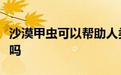 沙漠甲虫可以帮助人类从稀薄的空气中收获水吗