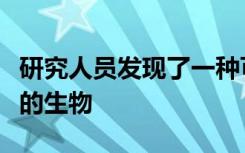 研究人员发现了一种可以通过消耗陨石而生存的生物