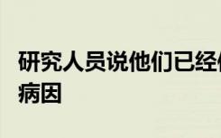 研究人员说他们已经使用小鼠来追踪疯牛病的病因