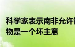 科学家表示南非允许饲养狮子和其他野生动植物是一个坏主意