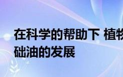 在科学的帮助下 植物促进了可生物降解的基础油的发展