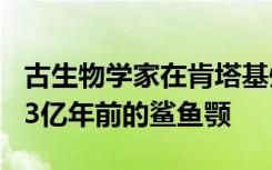 古生物学家在肯塔基州的一个洞穴中发现了3.3亿年前的鲨鱼颚