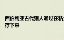 西伯利亚古代猎人通过在粘土火锅上烹饪而在冰河世纪中幸存下来