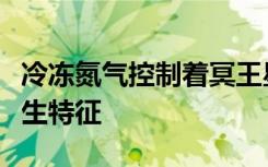 冷冻氮气控制着冥王星的风并可能在其表面产生特征