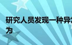 研究人员发现一种异常蛋白质的异常玻璃态行为