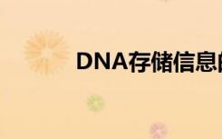 DNA存储信息的能力得到提升