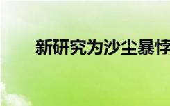 新研究为沙尘暴悖论提供了解决方案