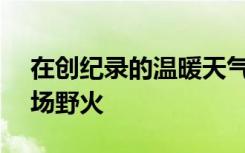 在创纪录的温暖天气中 西伯利亚发生近300场野火