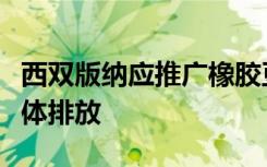 西双版纳应推广橡胶豆灌木系统以减少温室气体排放