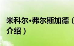 米科尔·弗尔斯加德（关于米科尔·弗尔斯加德介绍）