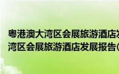 粤港澳大湾区会展旅游酒店发展报告(2020)（关于粤港澳大湾区会展旅游酒店发展报告(2020)介绍）