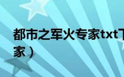 都市之军火专家txt下载（小说都市之军火专家）