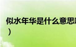 似水年华是什么意思啊（似水年华是什么意思）