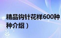 精品钩针花样600种（关于精品钩针花样600种介绍）