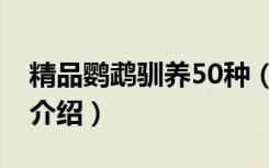 精品鹦鹉驯养50种（关于精品鹦鹉驯养50种介绍）