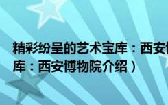 精彩纷呈的艺术宝库：西安博物院（关于精彩纷呈的艺术宝库：西安博物院介绍）