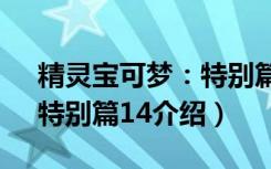 精灵宝可梦：特别篇14（关于精灵宝可梦：特别篇14介绍）