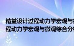 精益设计过程动力学宏观与微观综合分析（关于精益设计过程动力学宏观与微观综合分析介绍）