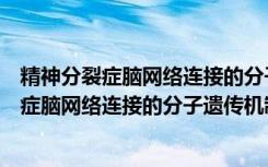 精神分裂症脑网络连接的分子遗传机制研究（关于精神分裂症脑网络连接的分子遗传机制研究介绍）