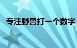 专注野兽打一个数字（专注野兽打一生肖）